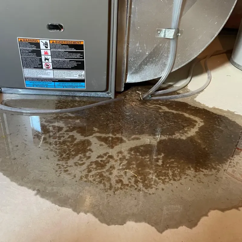Appliance Leak Cleanup in Kahuku, HI