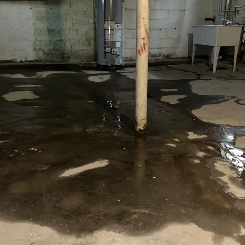 Emergency Water Extraction And Removal in Kahuku, HI